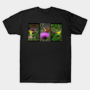 Delicate Beauty ~ Gila National Forest, New Mexico USA T-Shirt